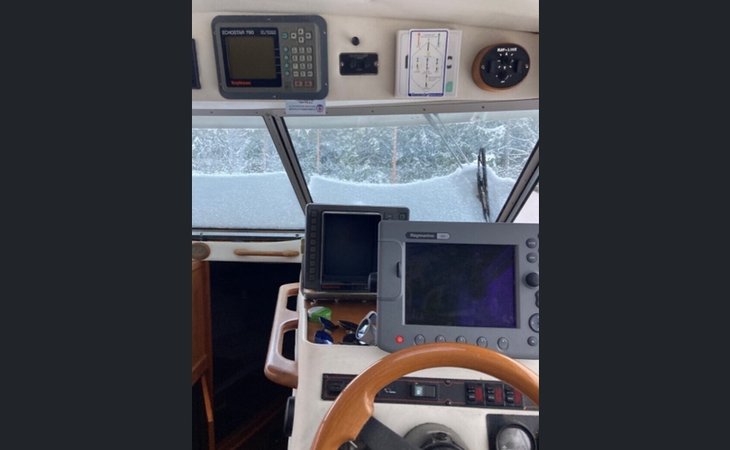 Marino Barracuda Fly-kuva-2